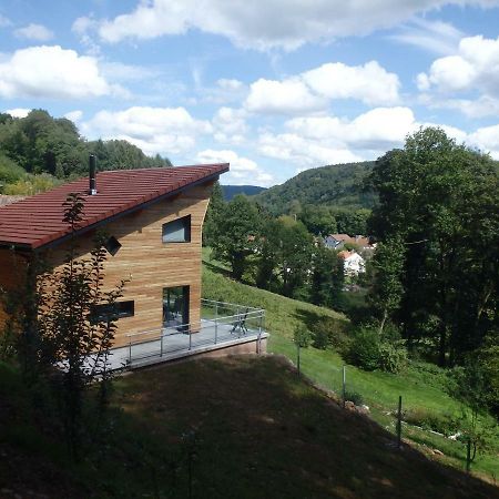 Villa Cora Venez Neuve Avec Spa Saint-Bresson Kültér fotó