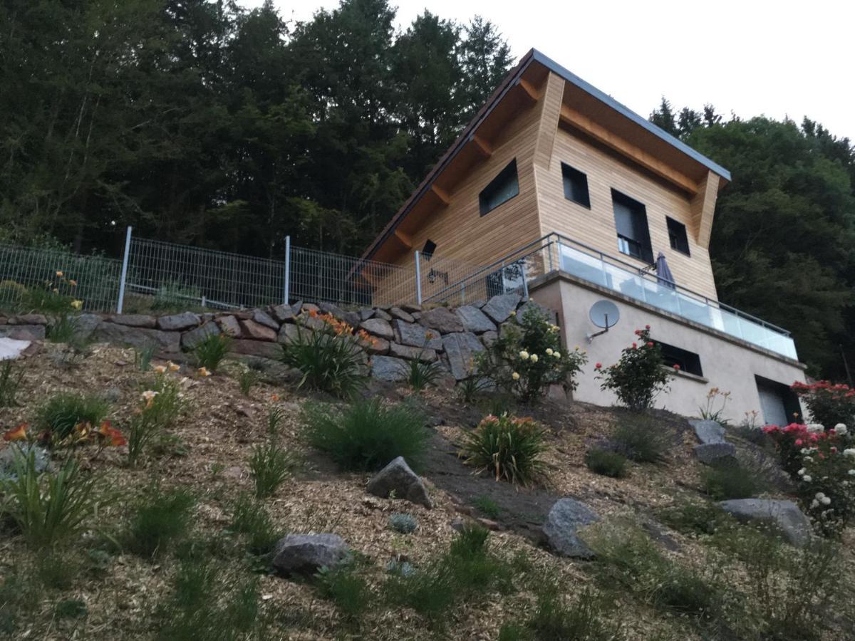 Villa Cora Venez Neuve Avec Spa Saint-Bresson Kültér fotó