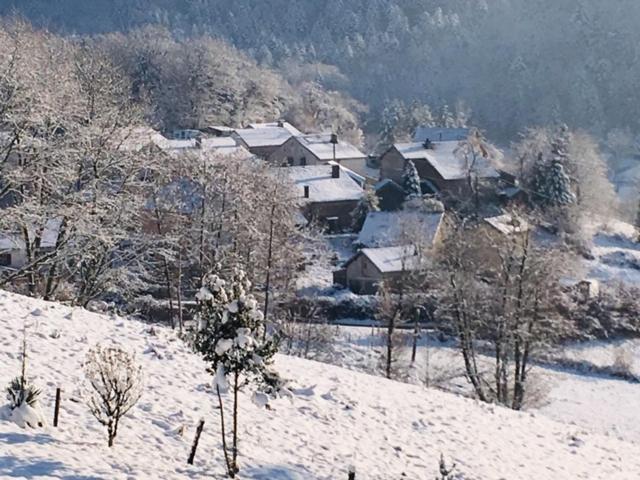 Villa Cora Venez Neuve Avec Spa Saint-Bresson Kültér fotó