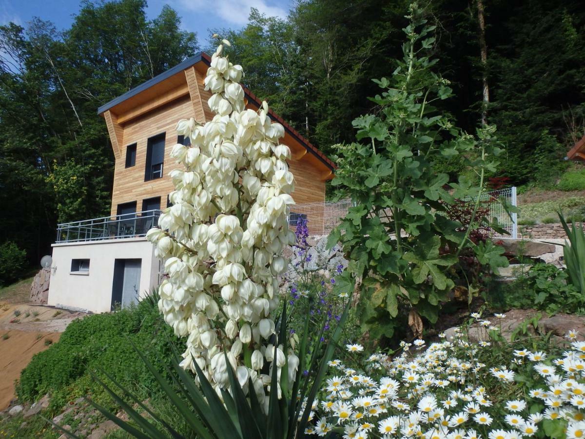 Villa Cora Venez Neuve Avec Spa Saint-Bresson Kültér fotó