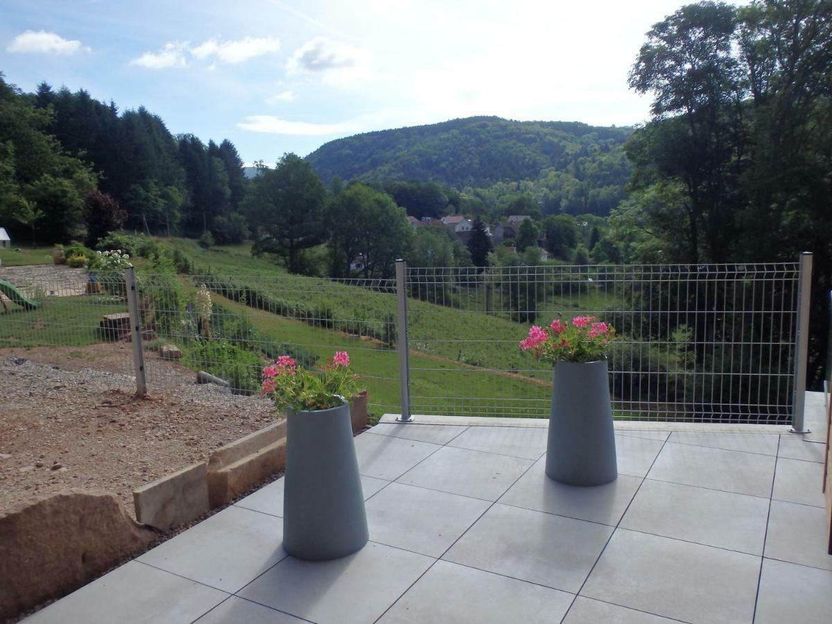 Villa Cora Venez Neuve Avec Spa Saint-Bresson Kültér fotó