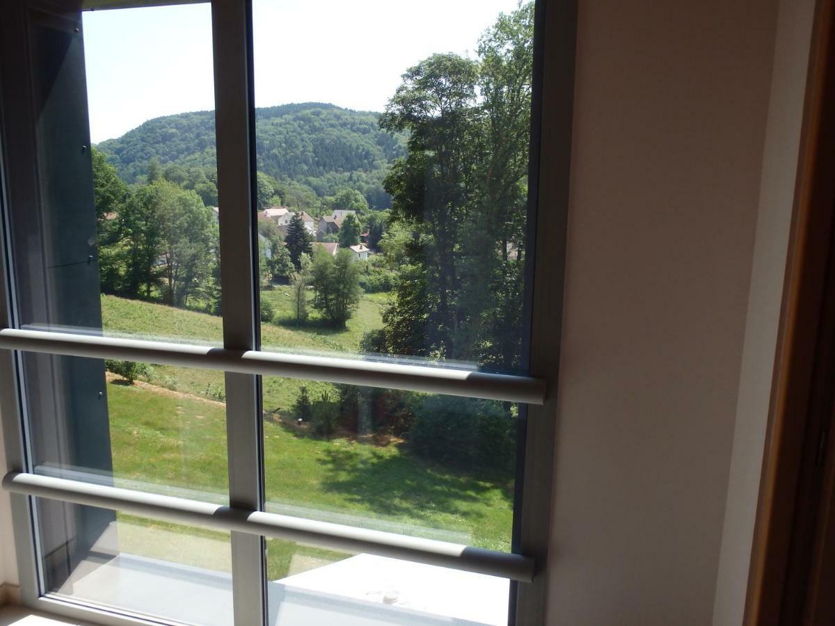 Villa Cora Venez Neuve Avec Spa Saint-Bresson Kültér fotó