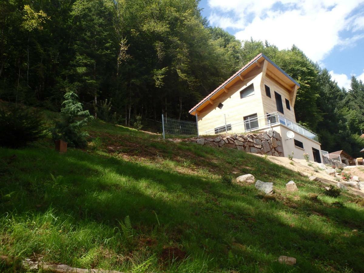 Villa Cora Venez Neuve Avec Spa Saint-Bresson Kültér fotó