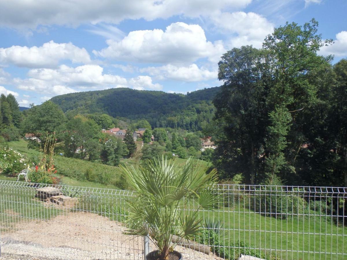 Villa Cora Venez Neuve Avec Spa Saint-Bresson Kültér fotó