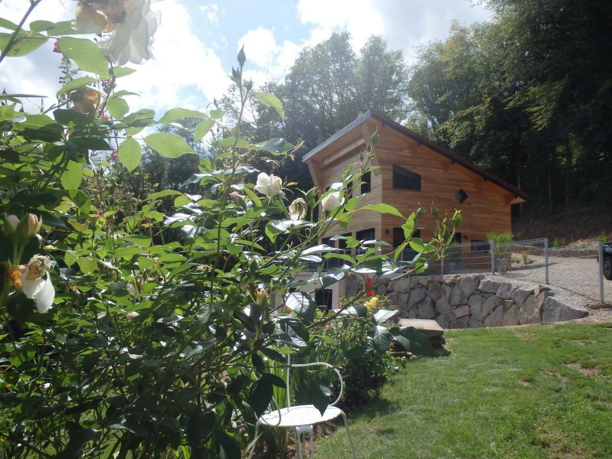 Villa Cora Venez Neuve Avec Spa Saint-Bresson Kültér fotó