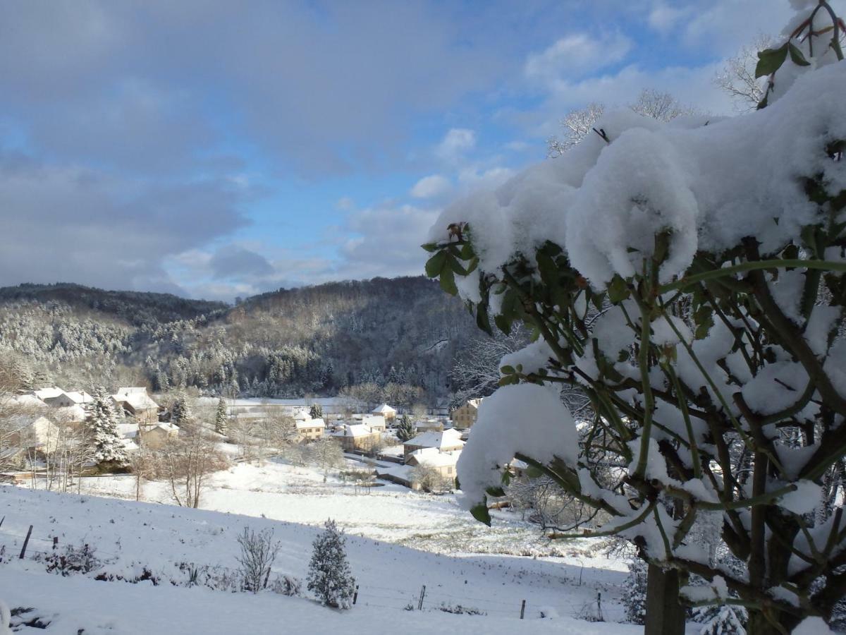 Villa Cora Venez Neuve Avec Spa Saint-Bresson Kültér fotó