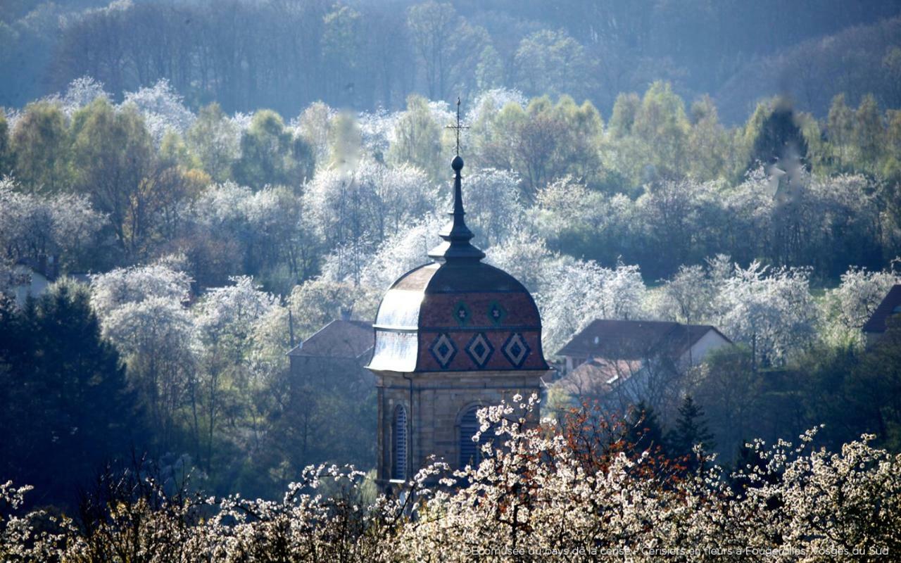 Villa Cora Venez Neuve Avec Spa Saint-Bresson Kültér fotó